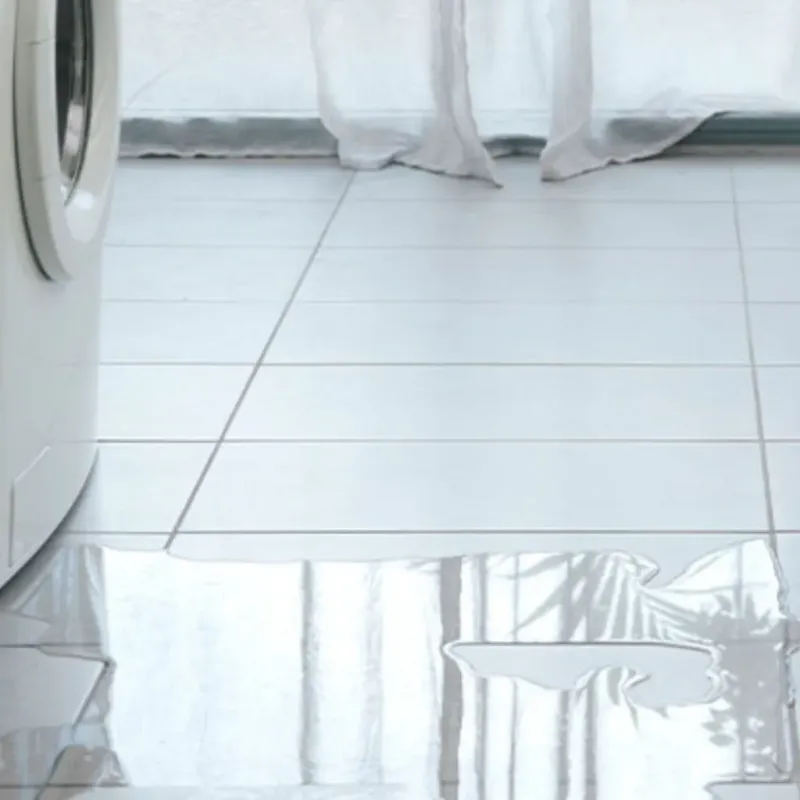 Appliance Leak Cleanup in West Livingston, TX