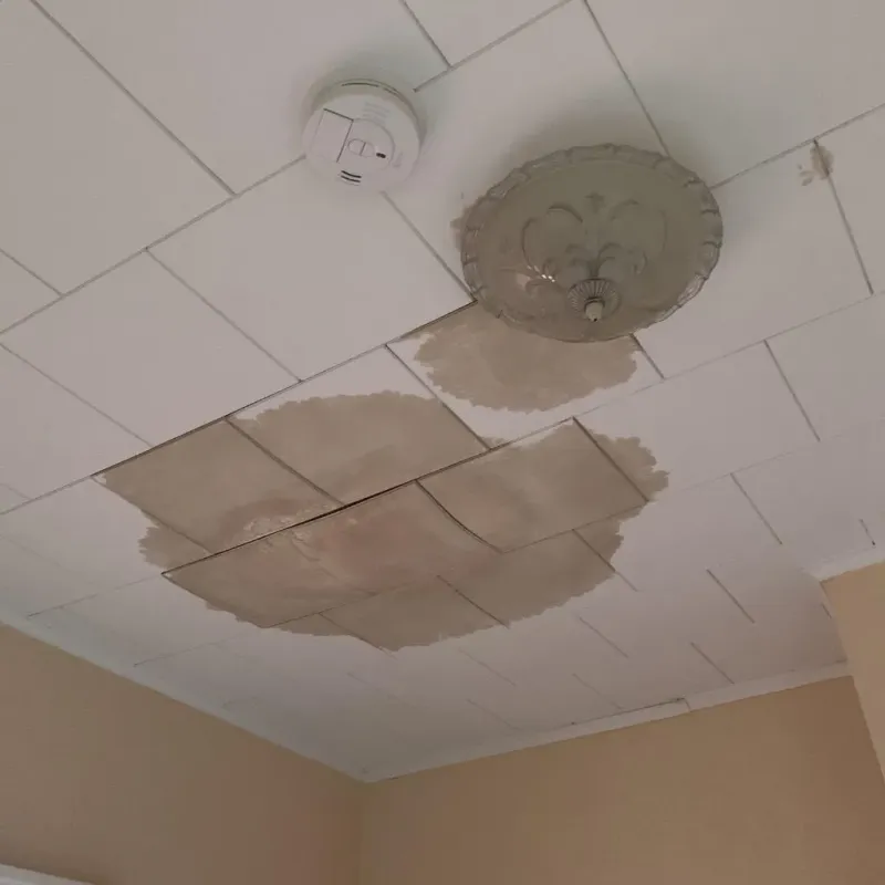 Ceiling Water Damage Repair in West Livingston, TX